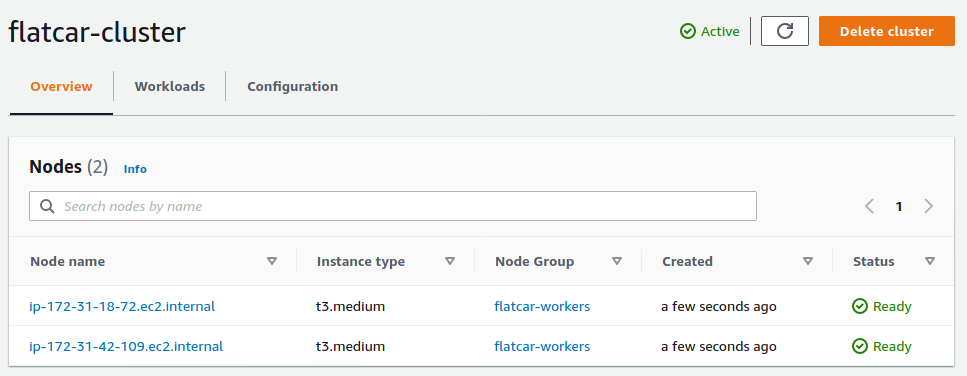 Capture of the cluster Overview with two nodes