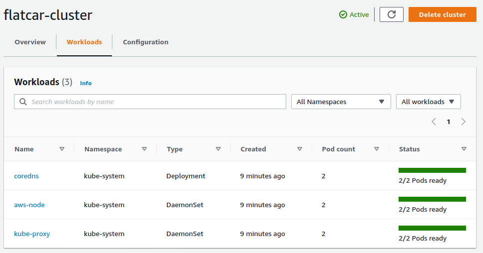 Capture of the cluster Workloads with basic pods